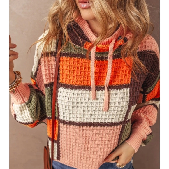 Belgian - Picture 2 of 4